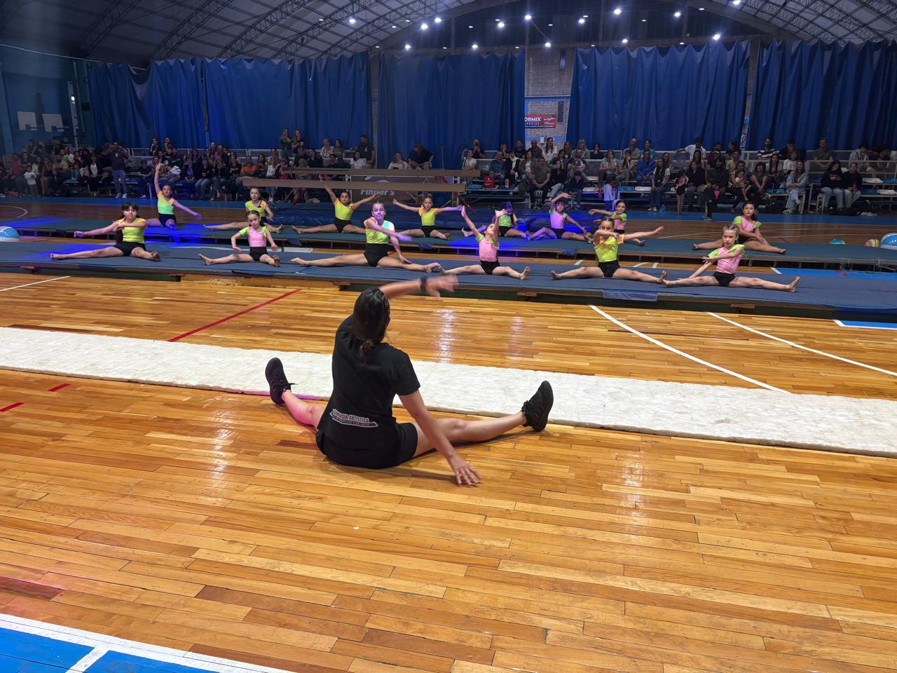 Gimnasia Deportiva Artística