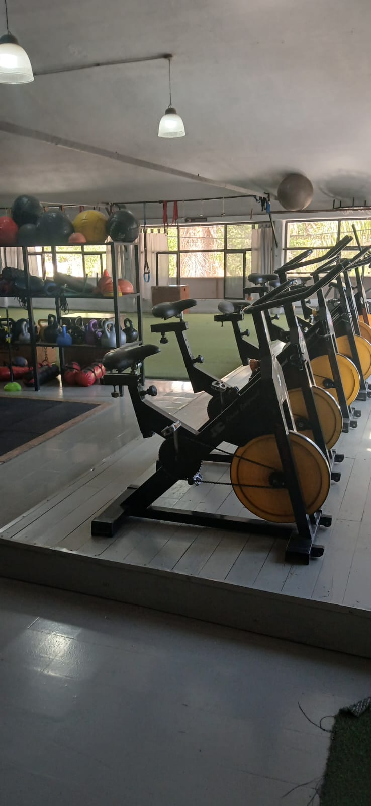 Gimnasio