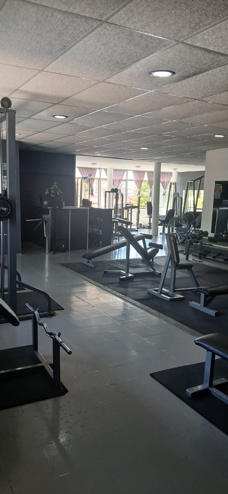 Gimnasio