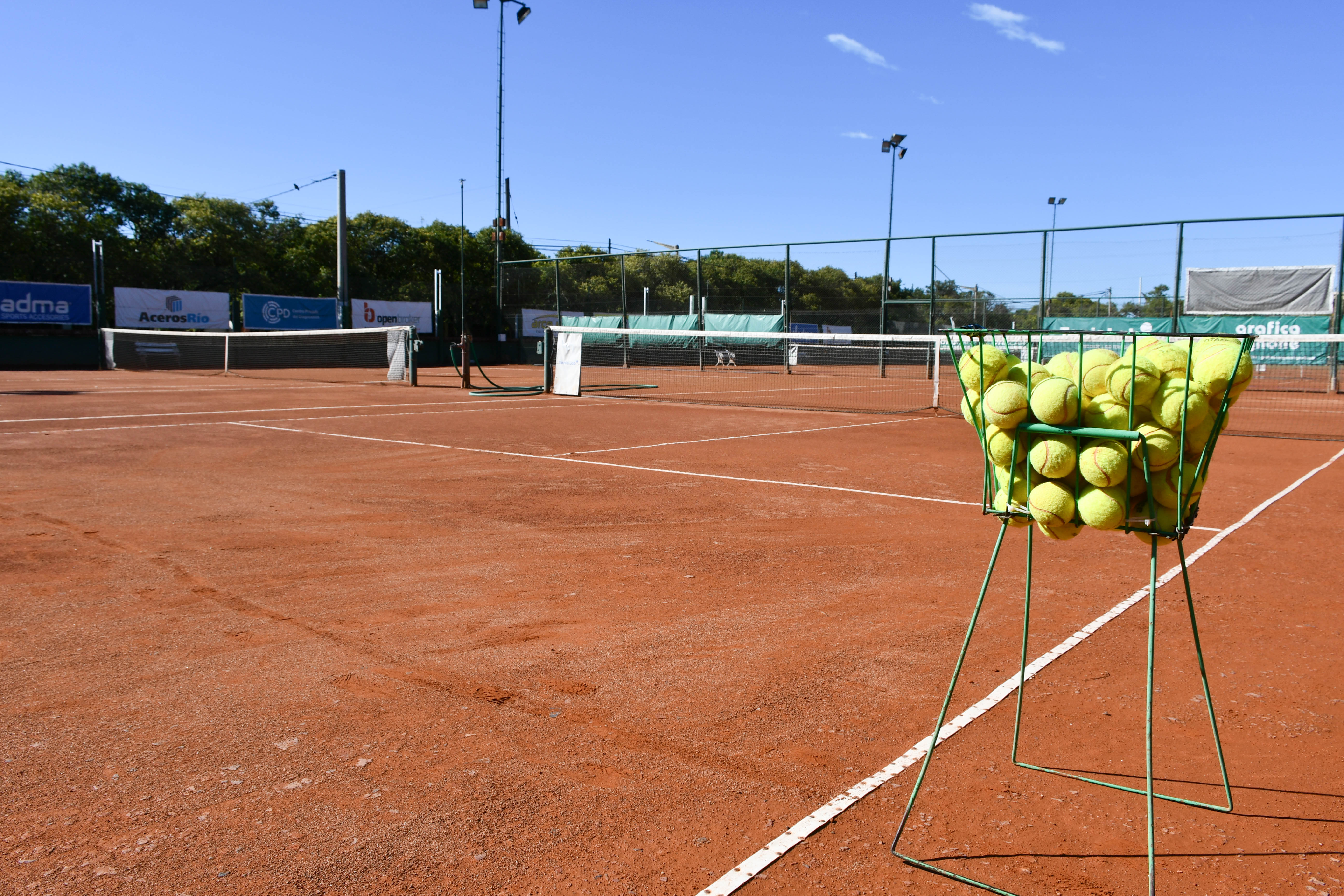 Tenis